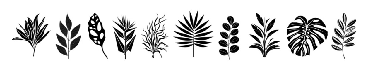 Set of black silhouettes of tropical leaves. Hand drawn elegant exotic eucalyptus, monstera, banana, palm leaves. Trendy botanical vector monochrome illustrations isolated