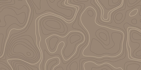 Panorama view gradient multicolor wave curve lines banner background design. similarcartography illustration. Topography and geography map grid abstract backdrop. Business concept. World Map, Vintage.