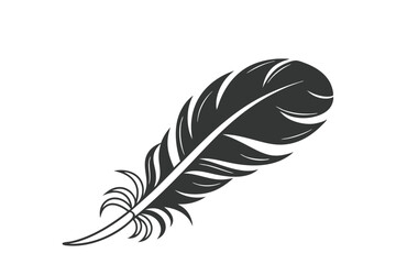 Obraz premium silhouette black feather icon black