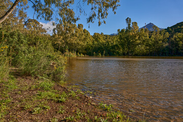 lago rodeado de bosques con cielo azul y nubes 