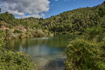 lago rodeado de bosques 