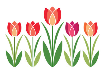 Elegant Pink and Red Tulip Clipart 