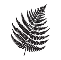 Fern leaf line art silhouette vector illustration a white background.