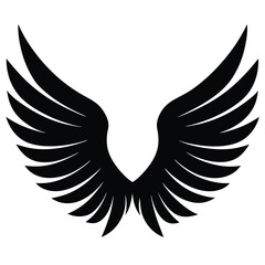 Obraz premium eagle with wings