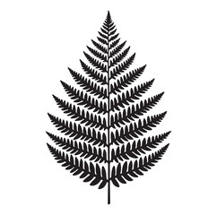 Fern leaf line art silhouette vector illustration a white background.