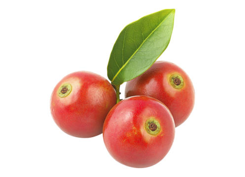 fresh camu fruit