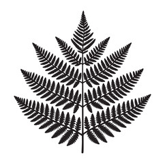 Fern leaf line art silhouette vector illustration a white background.