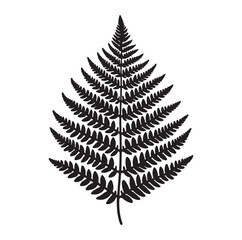 Fern leaf line art silhouette vector illustration a white background.