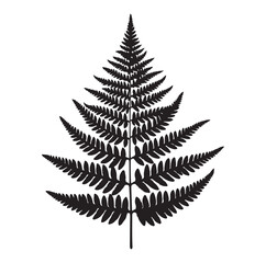 Fern leaf line art silhouette vector illustration a white background.