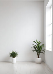 Indoor Plant in Minimalistic White Room