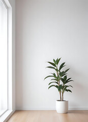 Indoor Plant in Minimalistic White Room