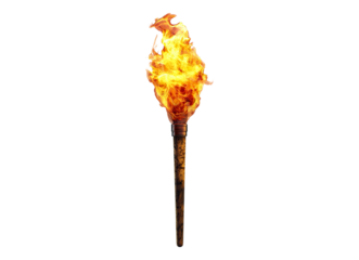 flaming torch