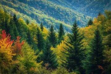 Obraz premium A dense forest with vibrant green foliage featuring trees stretching towards the sky in the background Dense forests clinging to towering slopes .