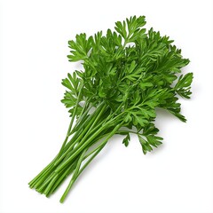 Abundant bunch of fresh parsley herb with lush green leaves perfectly arranged and isolated on a bright white background