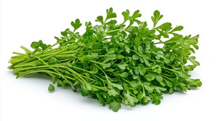 Obraz premium Fresh bunch of green parisian herbs displaying their distinctive leafy texture isolated on a clean white background