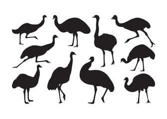 Obraz premium Emu vector, Emu clipart, Emu silhouette