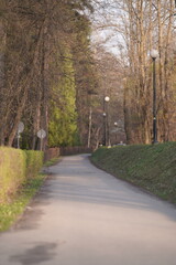 country road in autumn