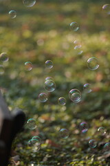 bubbles in the water