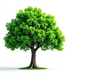 Obraz premium Single large isolated green branch on white background with soft focus effect, tree, tree branches