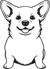 Corgi puppy. Hand drawn vector illustration