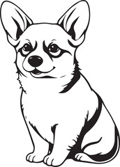 Corgi puppy. Hand drawn vector illustration