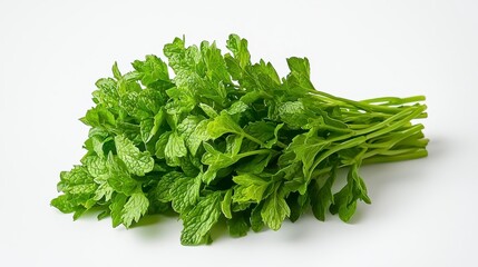 Fototapeta premium Fresh green leaves of moroccan mint isolated on white background captured in high quality for culinary and aromatic use