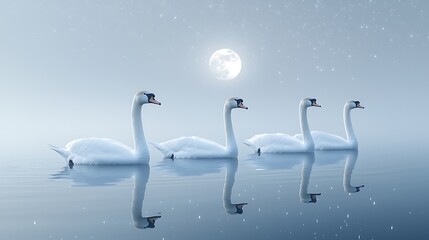 Swans on a misty lake at night