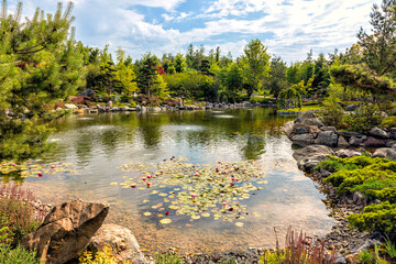 Lake with blooming lotuses in the Japanese garden of Galitsky Park in Krasnodar