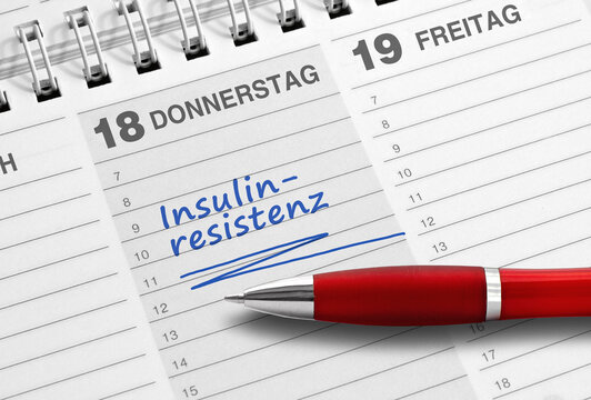 Diagnose, Insulinresistenz, Terminheft