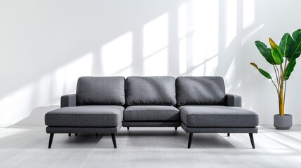 Fototapeta premium Dark Gray Fabric Sectional Sofa with Chaise Lounge in Minimalist Room Bathed in Sunlight Featu a Tall Potted Green Plant and Light Gray Floo
