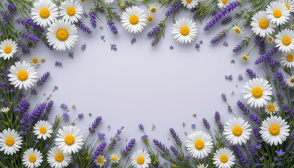 White Daisies and Purple Lavender Floral Frame on Light Purple Background