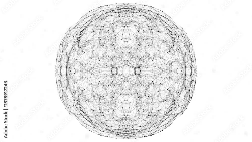 Poster animation of intricate lines forming symmetrical spherical pattern in school project