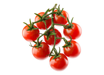tomatoes on vine