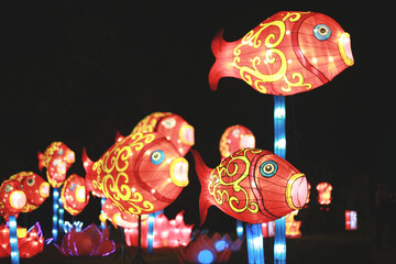 chinese new year fish lanterns