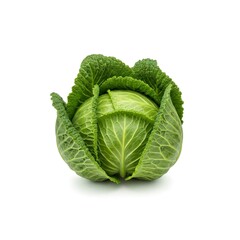 Fototapeta premium Fresh savoy cabbage vegetable isolated on white background