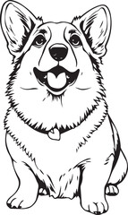 Corgi puppy. Hand drawn vector illustration