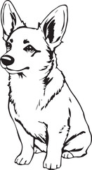 Corgi puppy. Hand drawn vector illustration