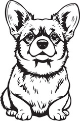 Corgi puppy. Hand drawn vector illustration