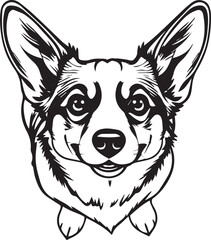 Corgi puppy. Hand drawn vector illustration