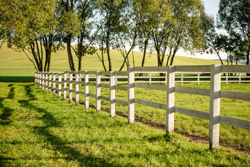 White horse fencing in countryside. White wooden fence on a farm on October afternoon, green fields...