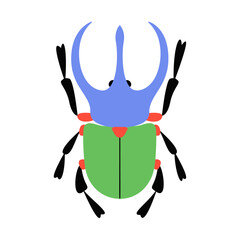 Stylized beetle. Bug with unique and colorful design. Hand drawn trendy flat style. Ideal for educational materials, childrens books, decorative illustrations, insect themed decorative purposes