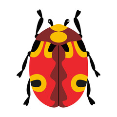 Stylized, cartoonish beetle with a bright red body and black spots. Hand drawn trendy flat style. Simple, modern design. for educational illustrations, insect themed designs or decorative purposes.