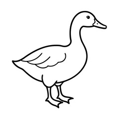 Vector illustration of a duck isolated on a white background