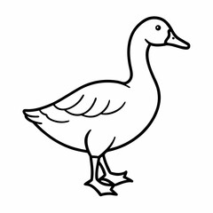 Obraz premium Vector illustration of a duck isolated on a white background