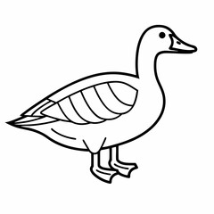 Vector illustration of a duck isolated on a white background