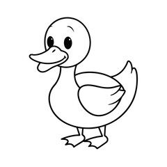 duck