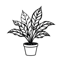vector illustration of a plant