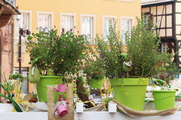 Easter and Spring-Themed Decorative Flower Pots