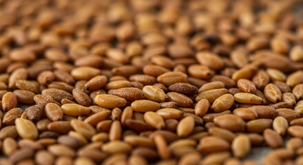 Macro shot of roasted sesame seeds, culinary ingredient and garnish texture