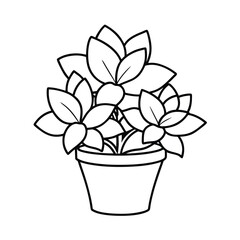 flower in pot